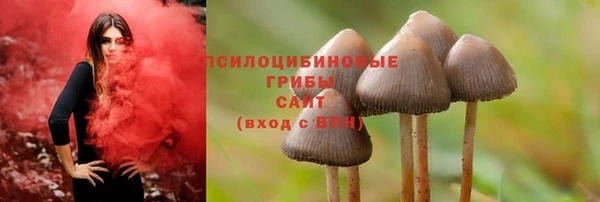 скорость Алексин
