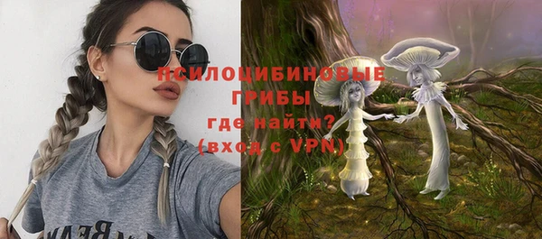 Альфа ПВП Алзамай